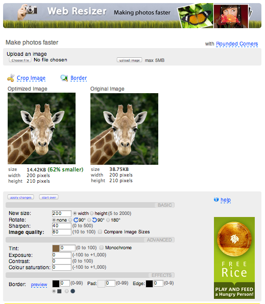 Free Online Apps for Share-Worthy Photos