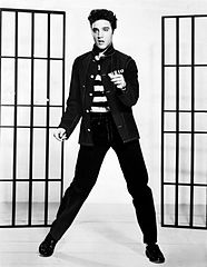 Susan's Site: Marketing Lessons We Can Learn from Elvis